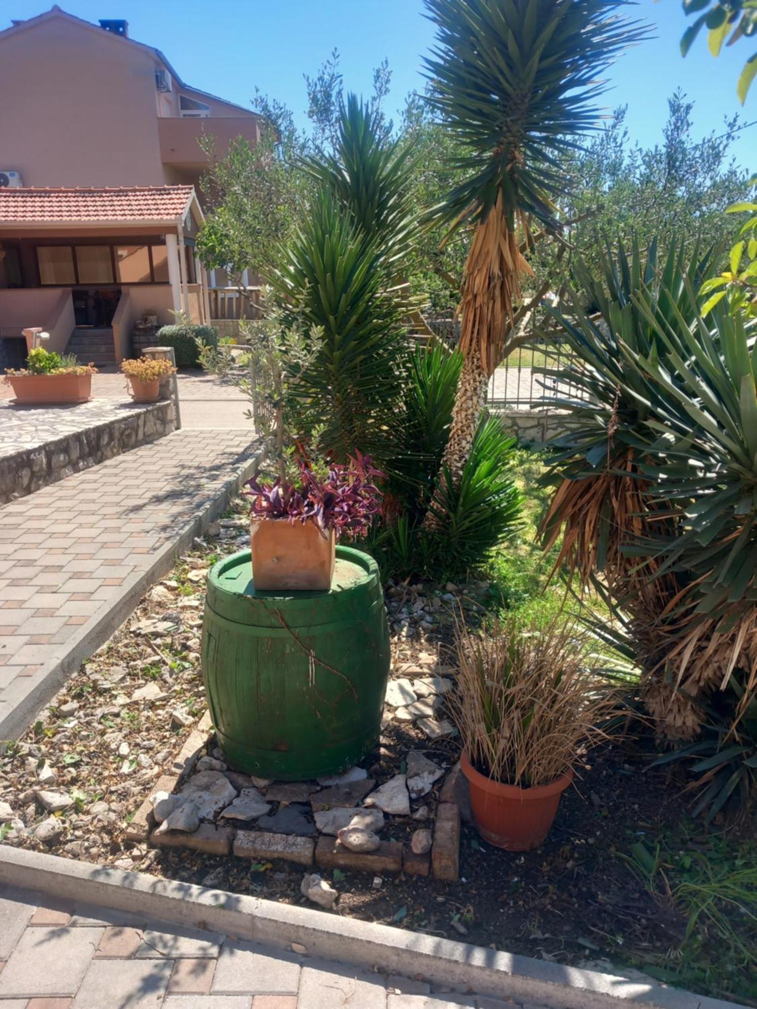 Apartmani Goga Biograd Na Moru Exterior foto